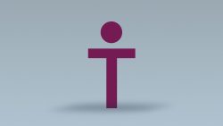 What is a T-Shaped Person