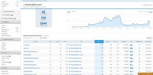 SEM Rush Organic Traffic Report