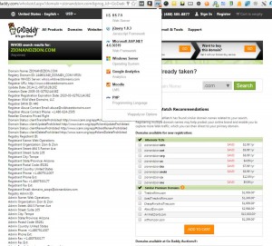 GoDaddy Whois & Wappalzyer Tools