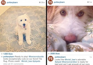 Lexi & Benson on Potty Barn's Instagram