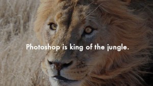 Photoshop is king of the jungle