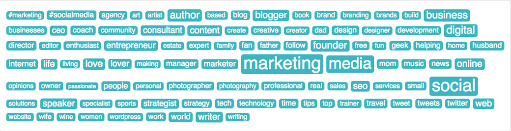 SocialBro Bio Tag Cloud Analytics SocialBro Bio Tag Cloud Analytics