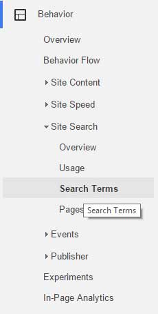 Google Analytics Site Search Terms