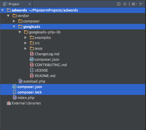 figure 1 google api