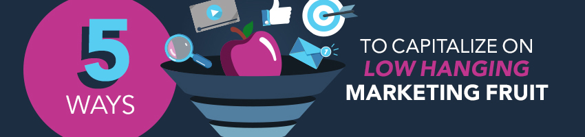 5 Ways to Capitalize on Low Hanging Marketing Fruit