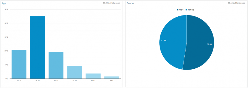 Demographics Overview | Google Analytics