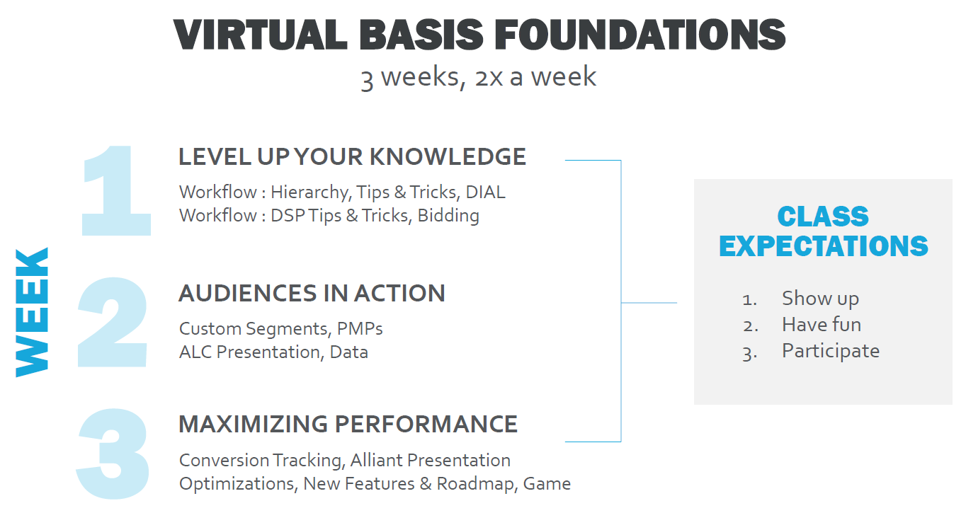 Virtual Basis Foundations