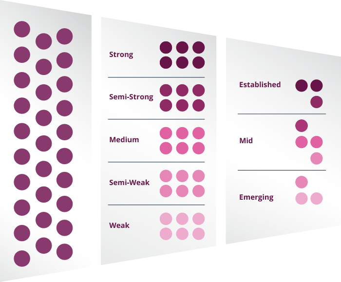 Portfolio Analysis