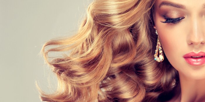 Primp and Blow Brand