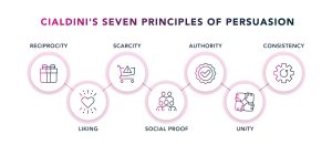 7 principles image 