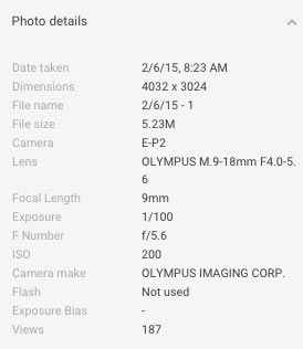 Google Plus Photo Details
