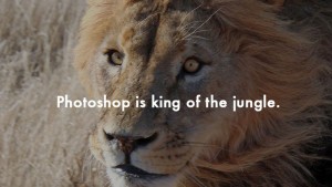 Photoshop is king of the jungle Photoshop is king of the jungle