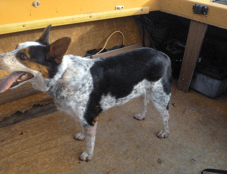 Example of Luma Matte