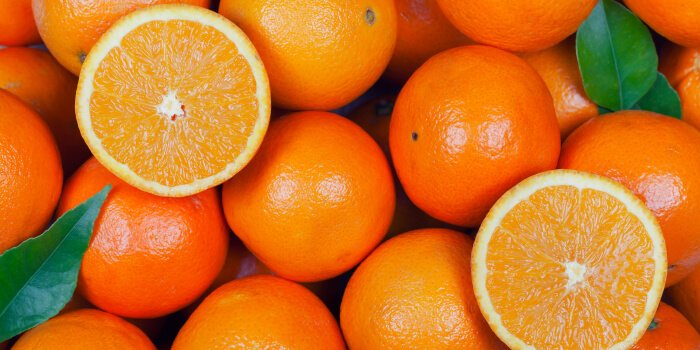 Rancho La Loma Archive